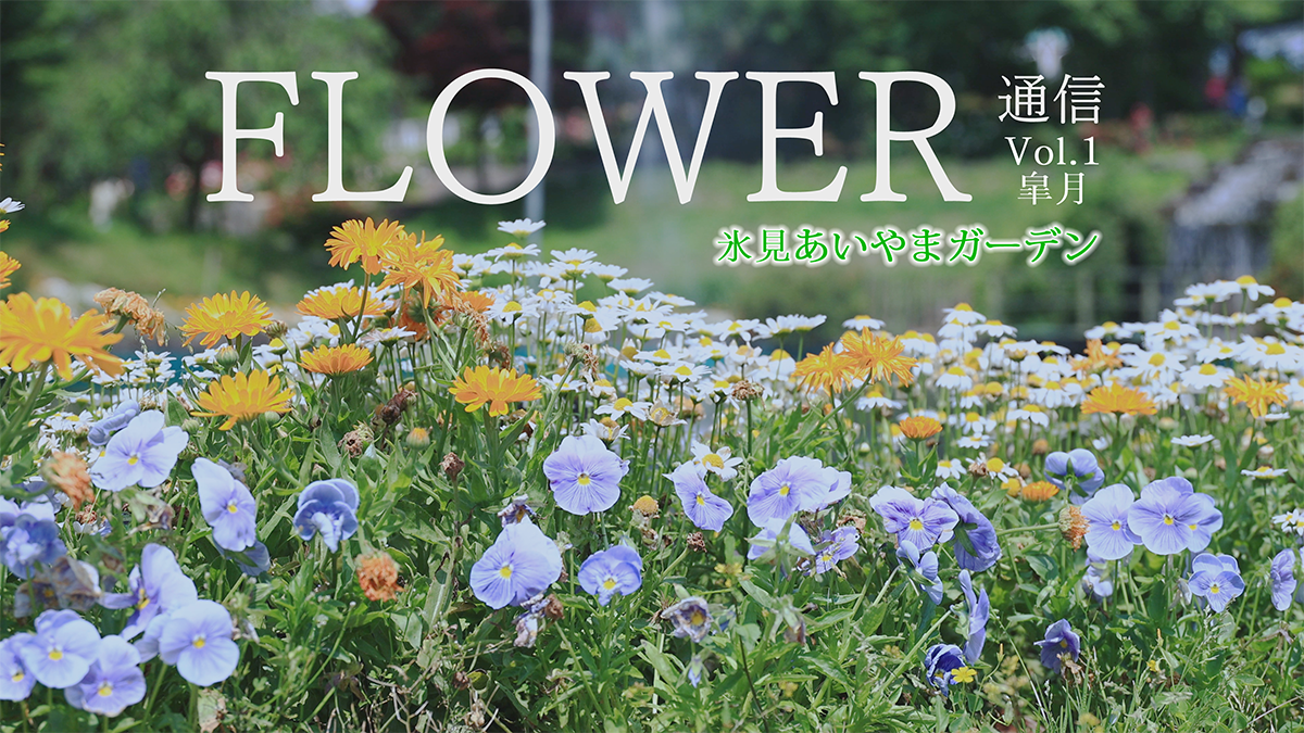 FLOWER通信 Vol.1