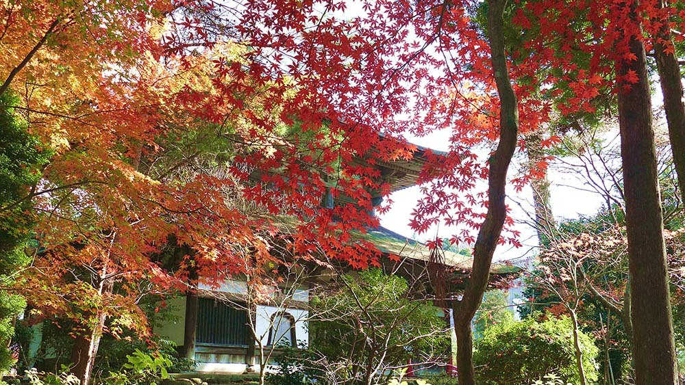 総持寺（輪島市）秋