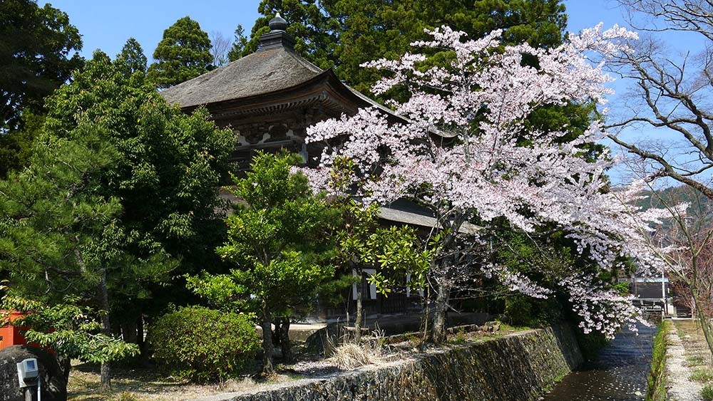 総持寺（輪島市）春