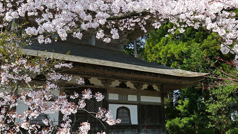 総持寺（輪島市）春