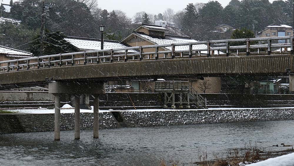 梅の橋