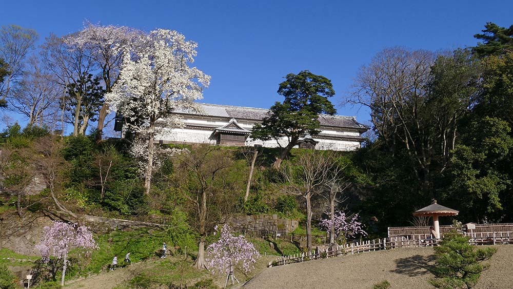 玉泉院丸玉泉院丸庭園1