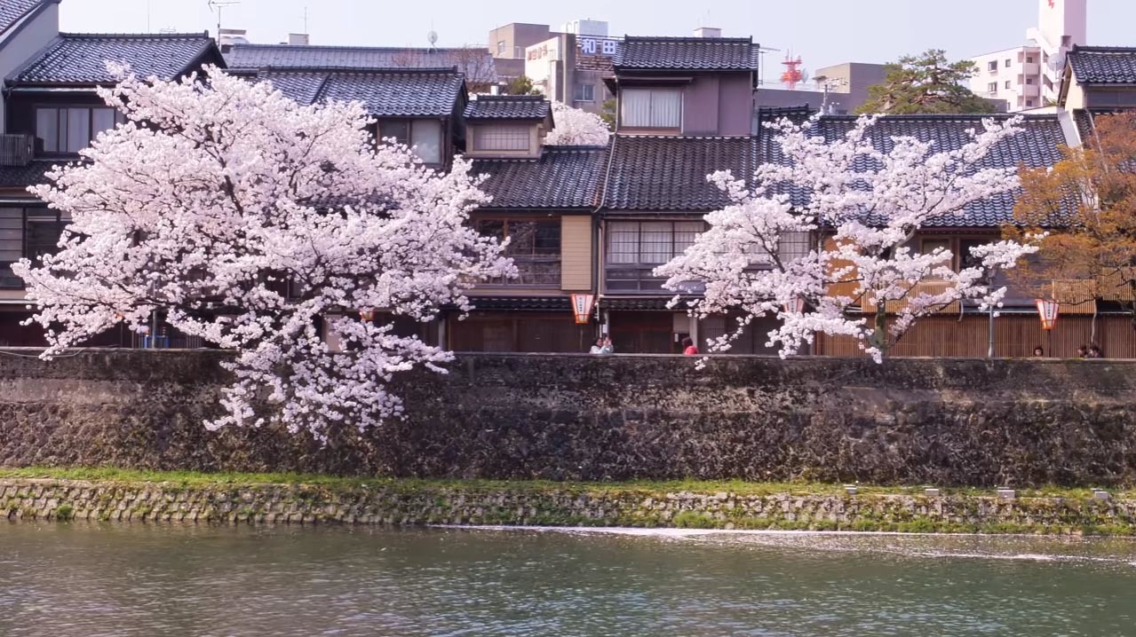 桜紀行　金沢・能登　映像