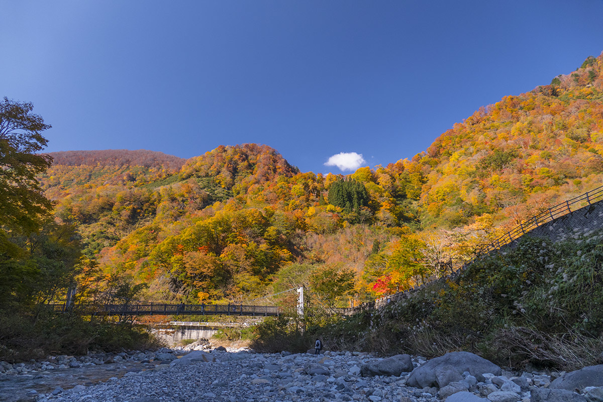 白山の紅葉写真01