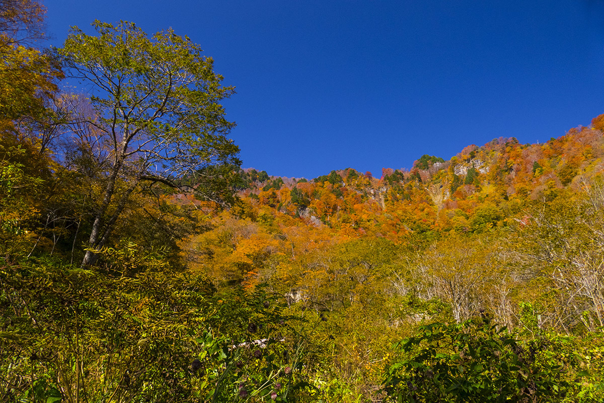 白山の紅葉写真02