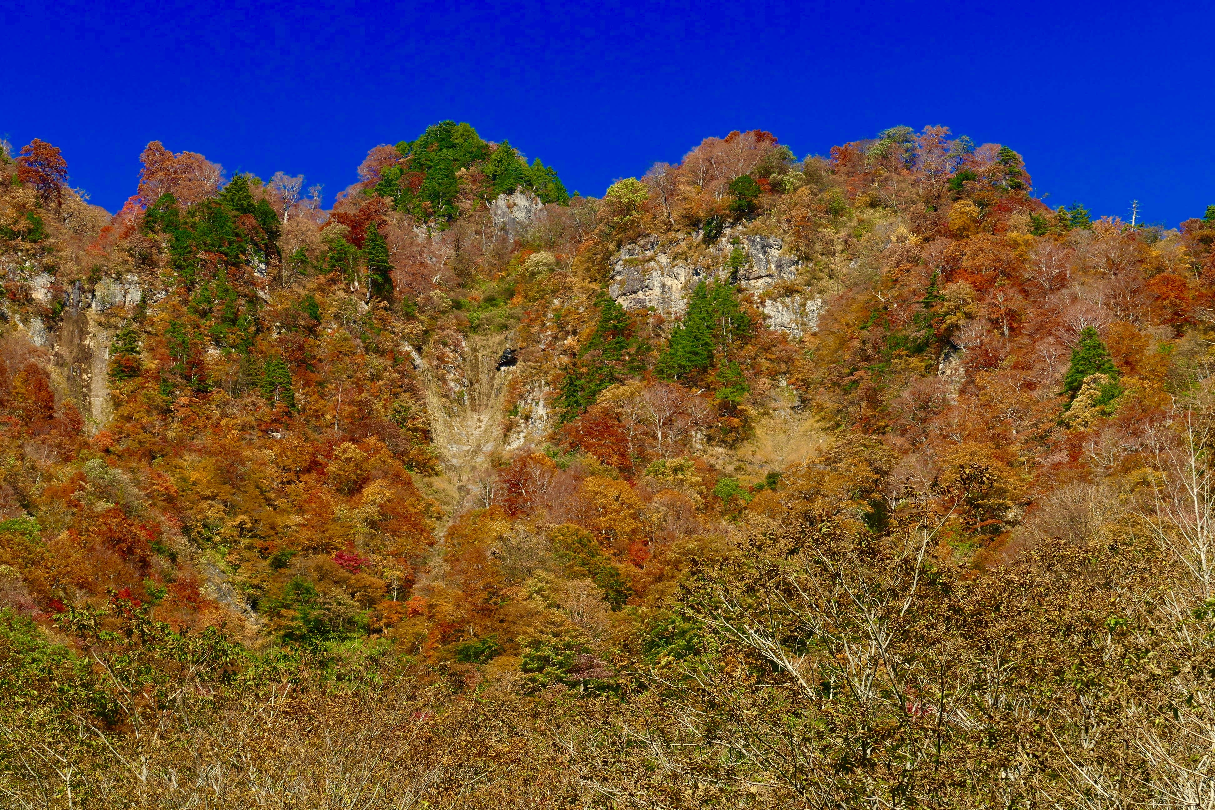 白山の紅葉写真03