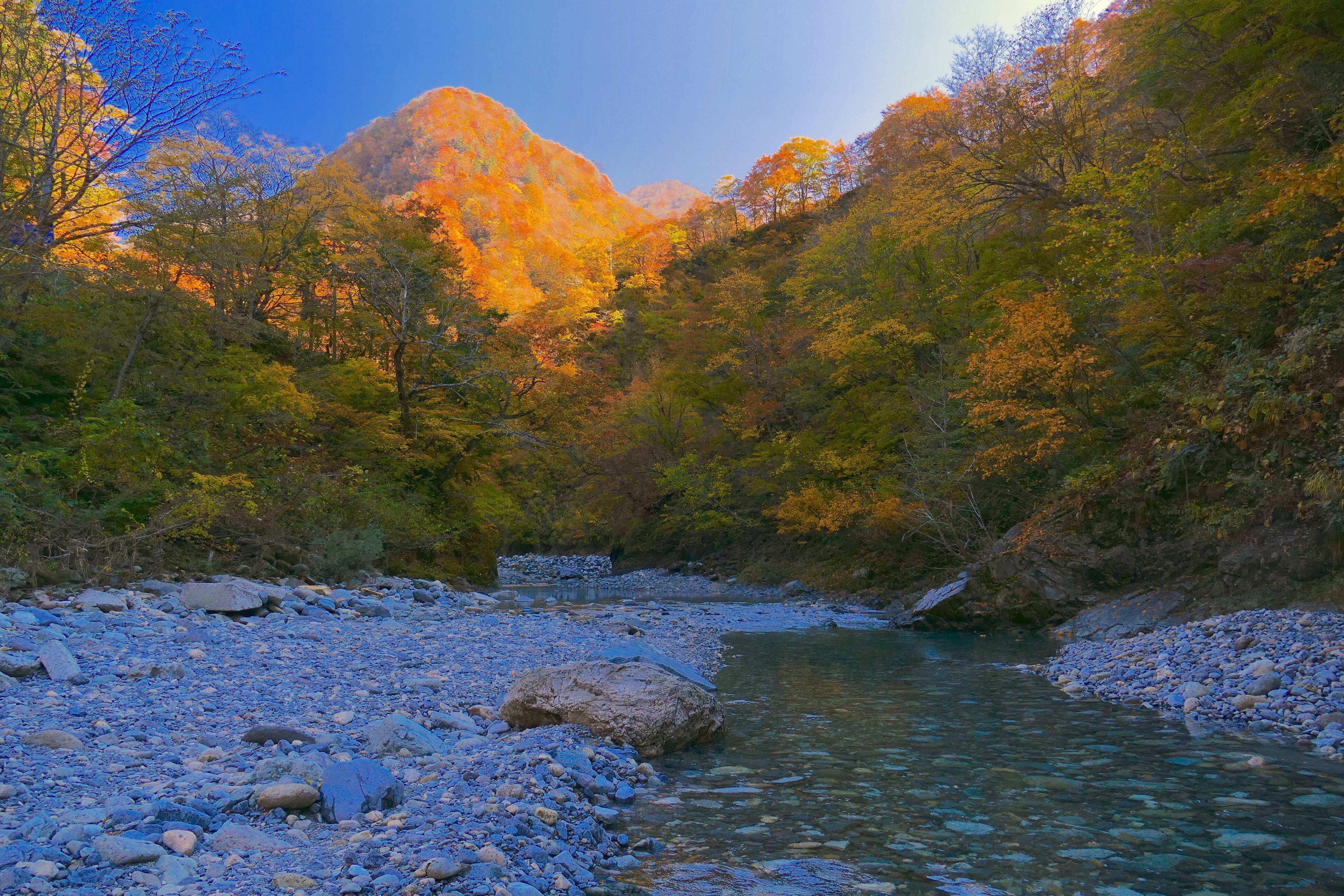 白山の紅葉写真06