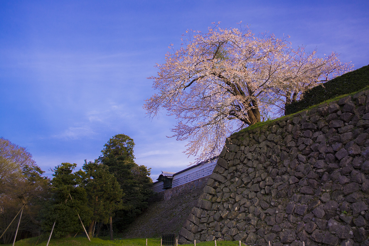 金沢城址公園