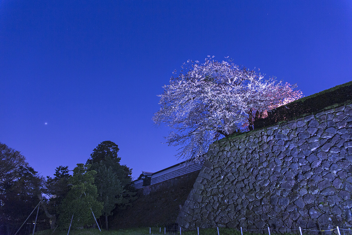 金沢城址公園