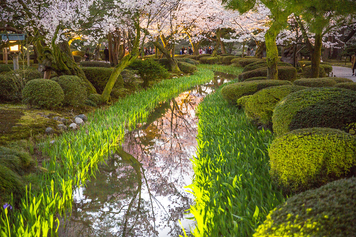 金沢市兼六園のライトアップ