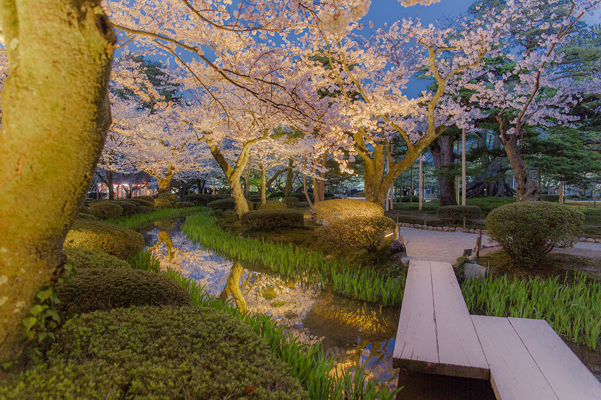 金沢市兼六園のライトアップ