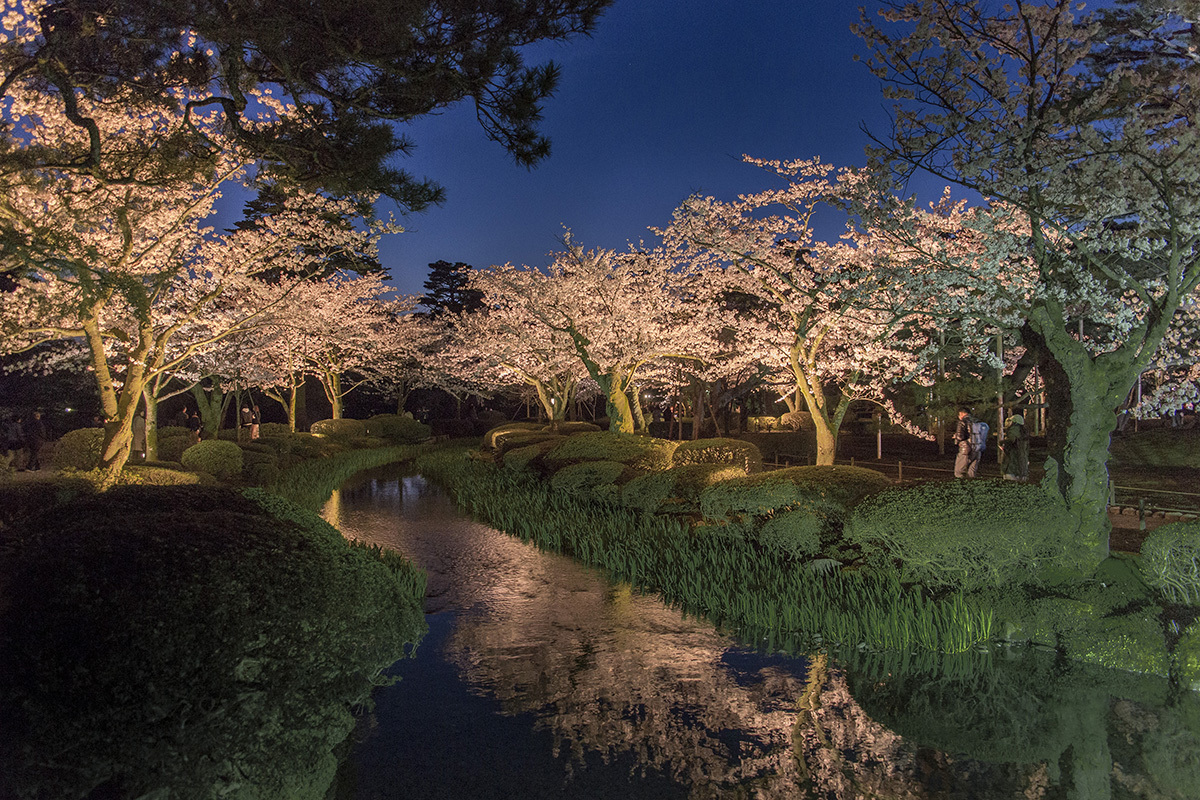 金沢市兼六園のライトアップ