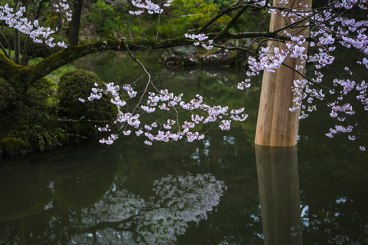 金沢市兼六園